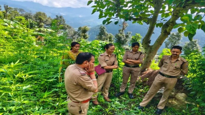 बीएलओ की आत्महत्या मामले में एसआईआर के काम के दबाव में जान देने की बात आई सामने बीएलओ की आत्महत्या मामले में एसआईआर के काम के दबाव में जान देने की बात आई सामने